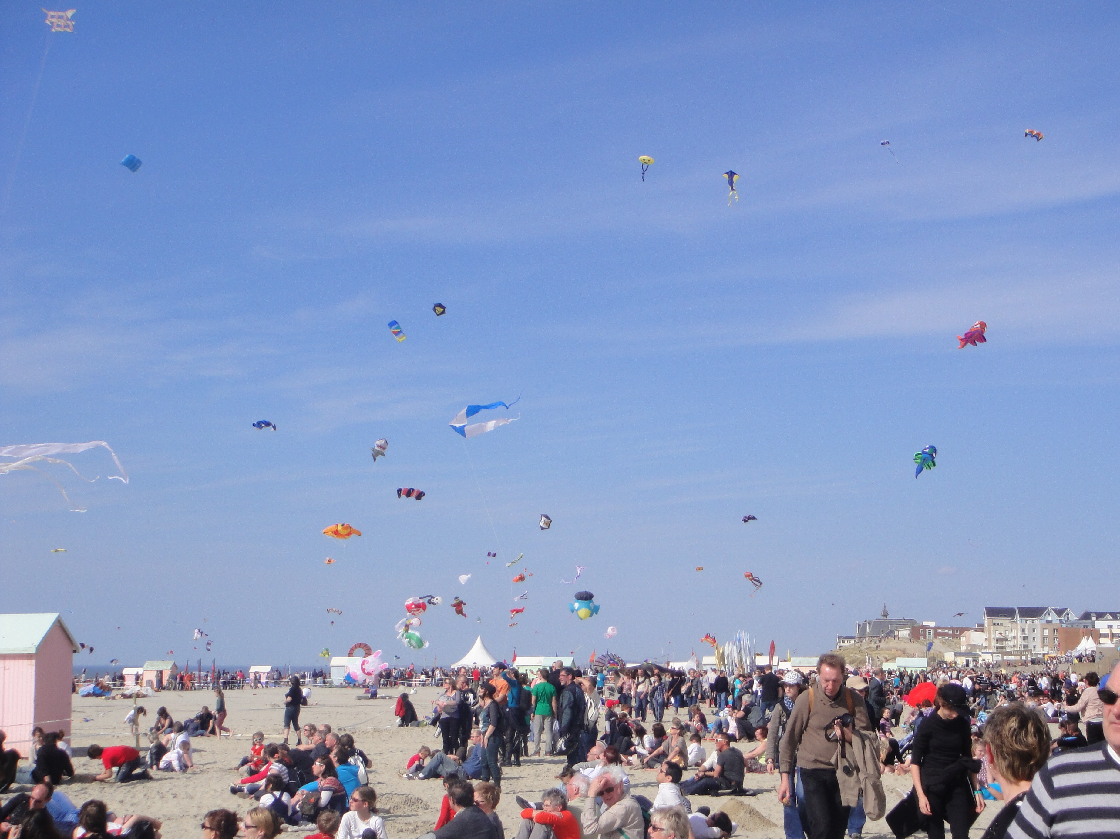 Berck-sur-mer : voici le plus grand cerf-volant du monde