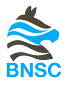 <span class="mw-page-title-main">Botswana National Sports Commission</span>