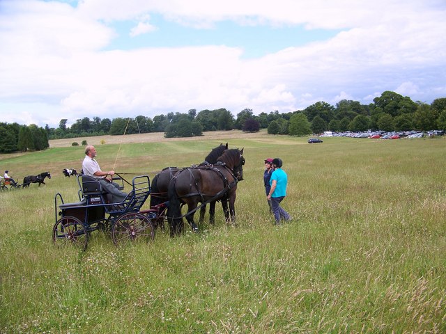 Carriage Driving at Kingston Lacy - geograph.org.uk - 884470