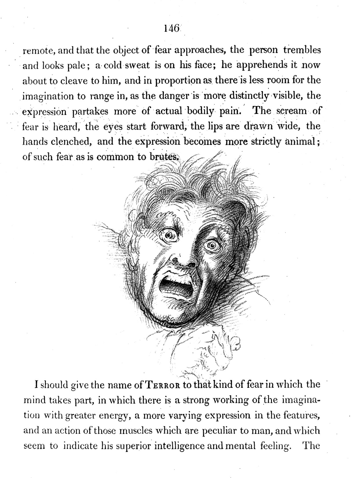 Kind fear. (Essays on the Anatomy of the expression in Painting).