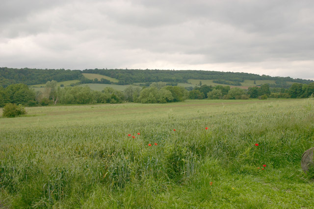 File:Darent valley, west side - geograph.org.uk - 5002537.jpg