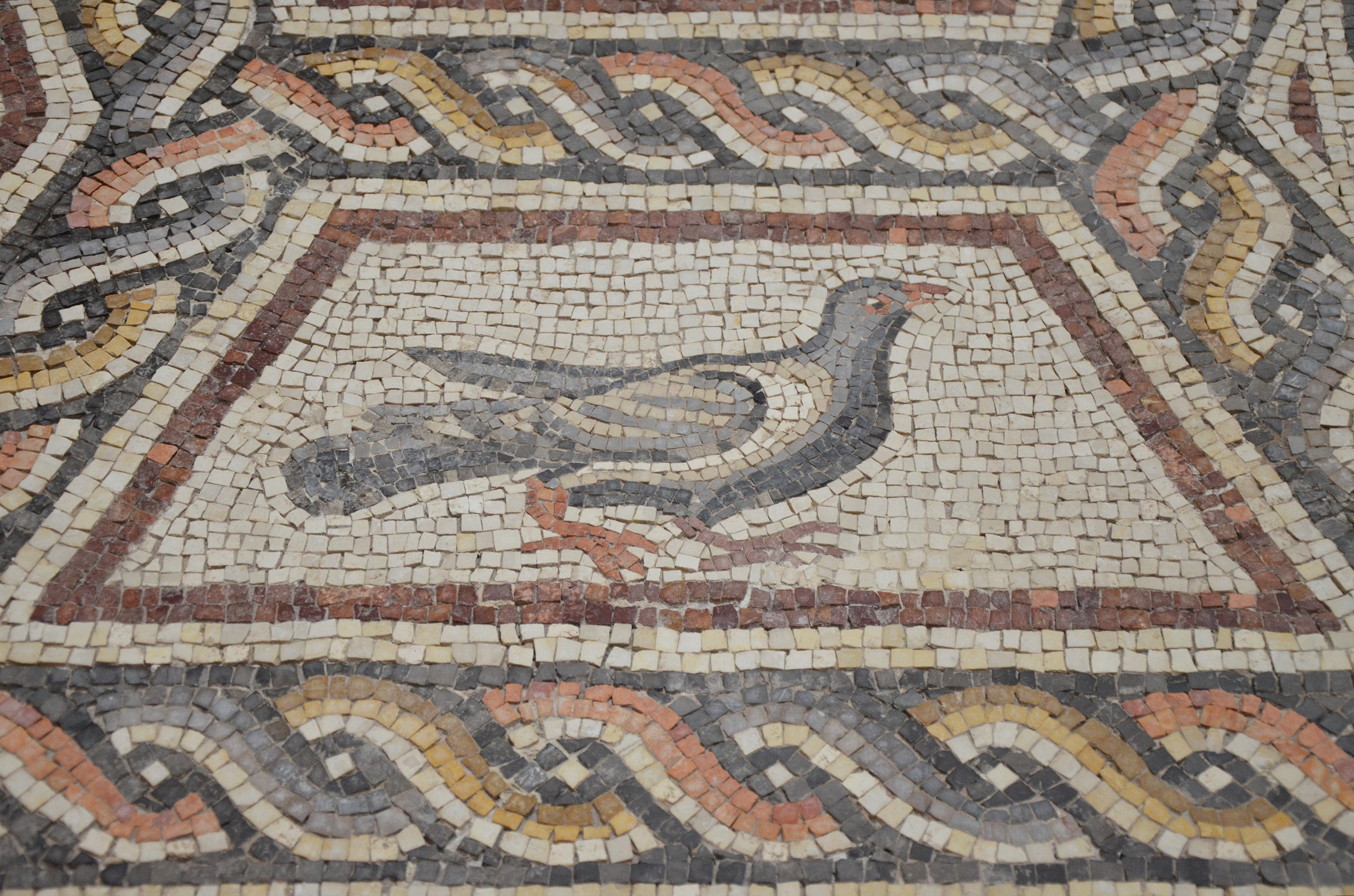 File:Detail of the Lod Mosaic, a dove, mosaic believed to belong to a large  and well-appointed Roman house and is dated to about A.D. 300, found in Lod,  Israel (13670962844).jpg - Wikimedia