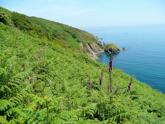 Behov for debitor tricky File:Devonian coast - geograph.org.uk - 1337570.jpg - Wikimedia Commons