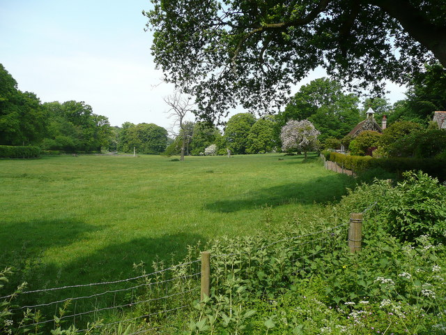 File:Downland pasture - geograph.org.uk - 861753.jpg