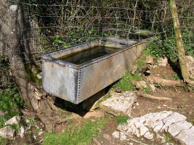 File:Drinking trough, Waddon - geograph.org.uk - 749231.jpg