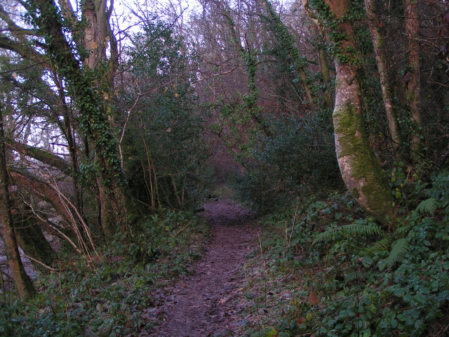 File:Exe Valley Way north of Bickleigh, looking north - geograph.org.uk - 1631738.jpg