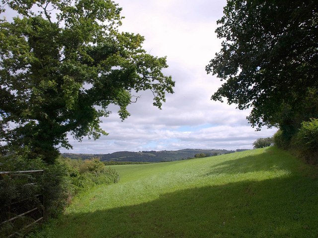 File:Field near Bearland - geograph.org.uk - 1467197.jpg