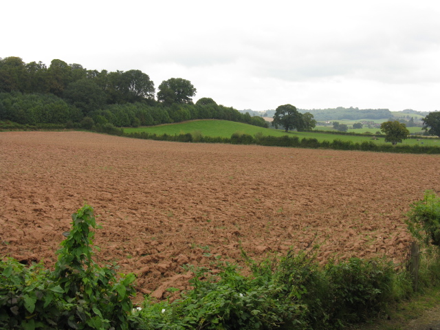 File:Fields Of Stanford on Teme - geograph.org.uk - 1490102.jpg