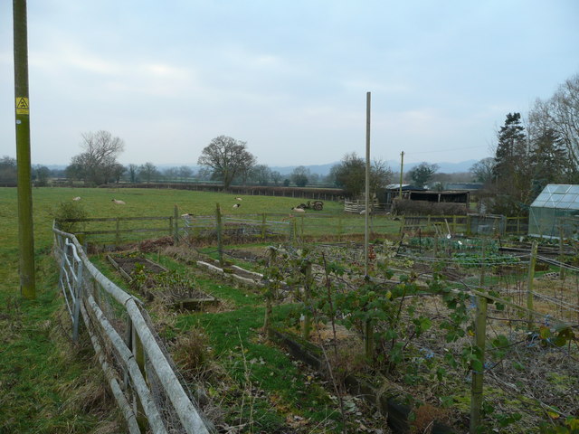 File:Gardens and pasture - geograph.org.uk - 650031.jpg