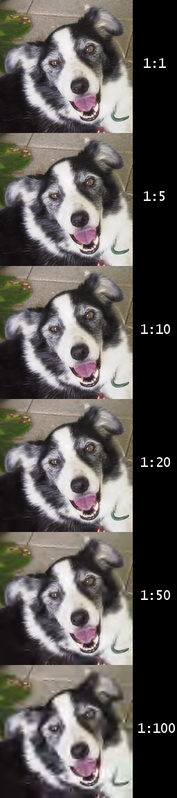 Top-to-bottom demonstration of the artifacts of JPEG 2000 compression. The numbers indicate the compression ratio used.
