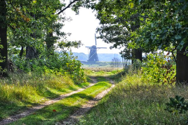 Limburg, langs de Maas.jpg