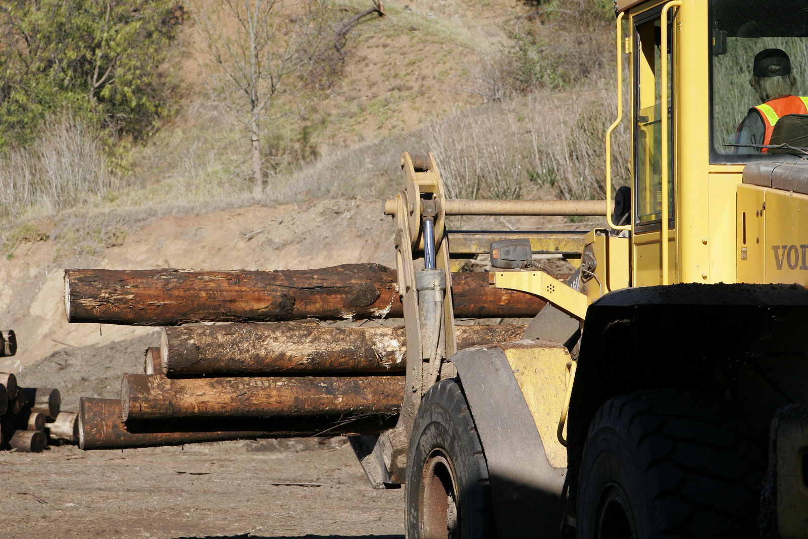 Commons logging. Old amerkan Heel Boom log Loader. Old amerkan Heel Boom log Loader for Forest.