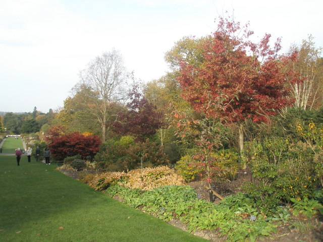 File:Looking down an autumnal Battleston Hill (1) - geograph.org.uk - 1562033.jpg