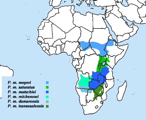 parrot habitat map