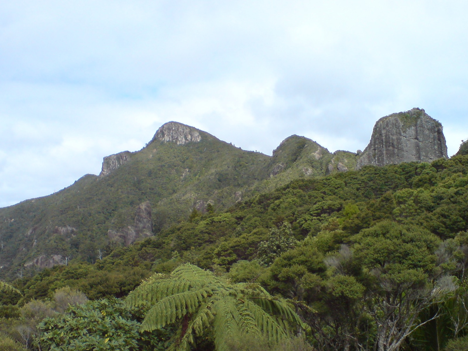 Image result for great barrier island