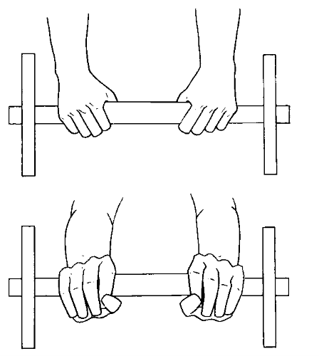 Fichier:Musculation exercice avant-bras 1.png — Wikiversité