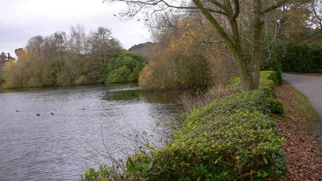 File:Northeast portion of Folly Pond - geograph.org.uk - 1054132.jpg