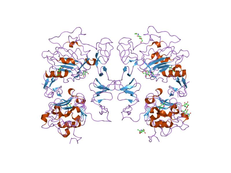 File:PDB 1ivo EBI.jpg