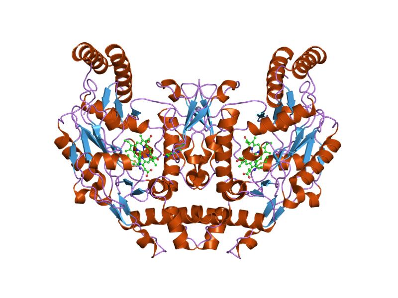 File:PDB 1k2t EBI.jpg