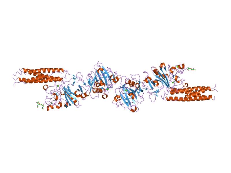 File:PDB 2h43 EBI.jpg