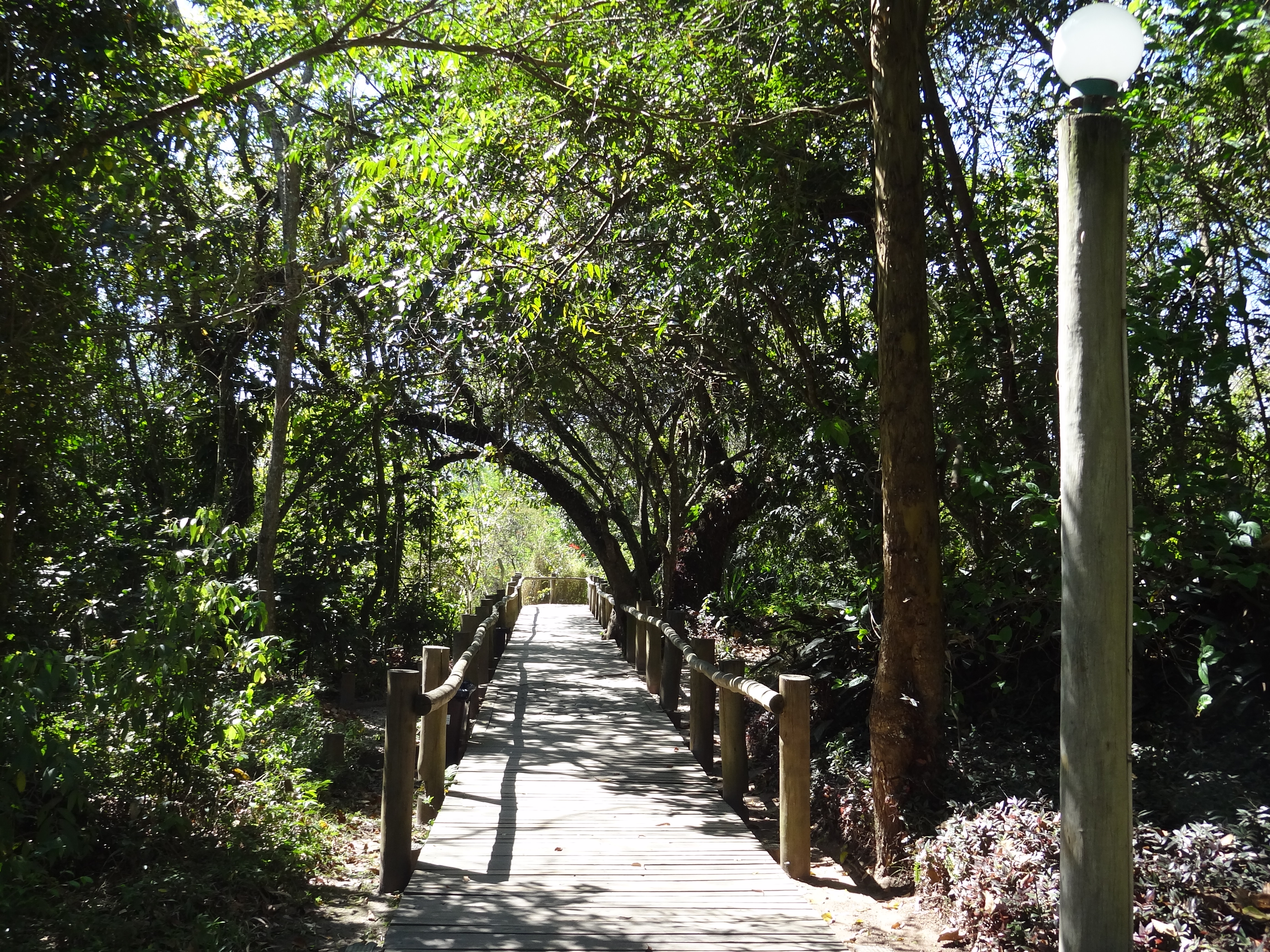 Trilha do Parque Ecológico do Guarapiranga em São Paulo - SP.