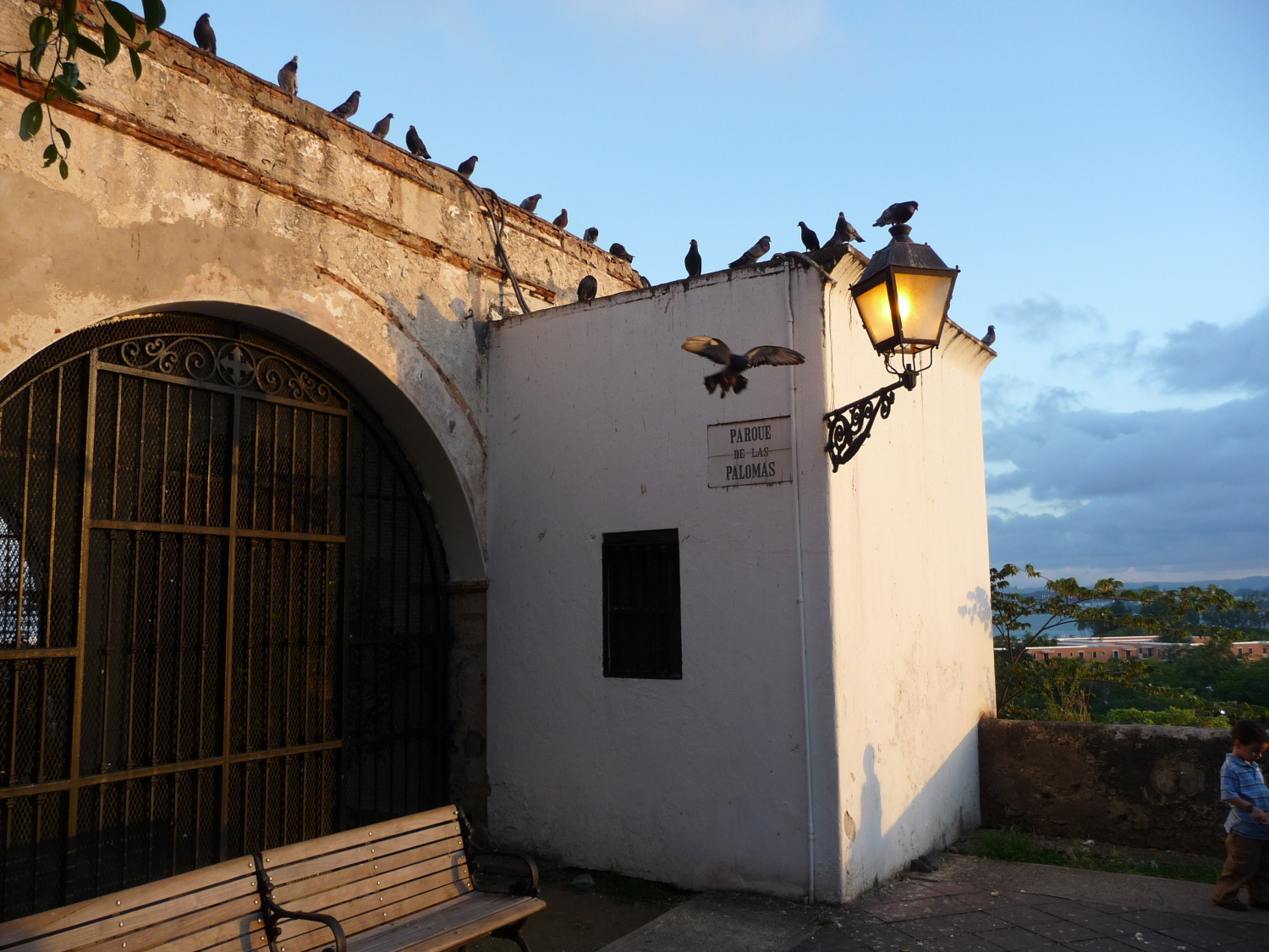 La lejía ahuyenta las palomas