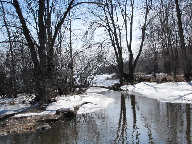 File:Paysage des rives de la rivière des Outaouais, Gatineau, Qc..JPG