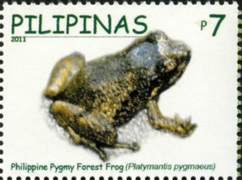 File:Platymantis pygmaeus 2011 stamp of the Philippines.jpg