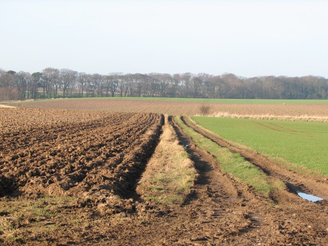 File:Ploughed fields - geograph.org.uk - 117227.jpg