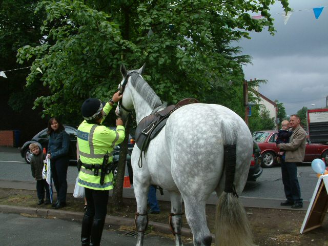 File:Police Horse - geograph.org.uk - 1071150.jpg