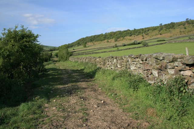 File:Public Bridleway to Head House - geograph.org.uk - 442087.jpg