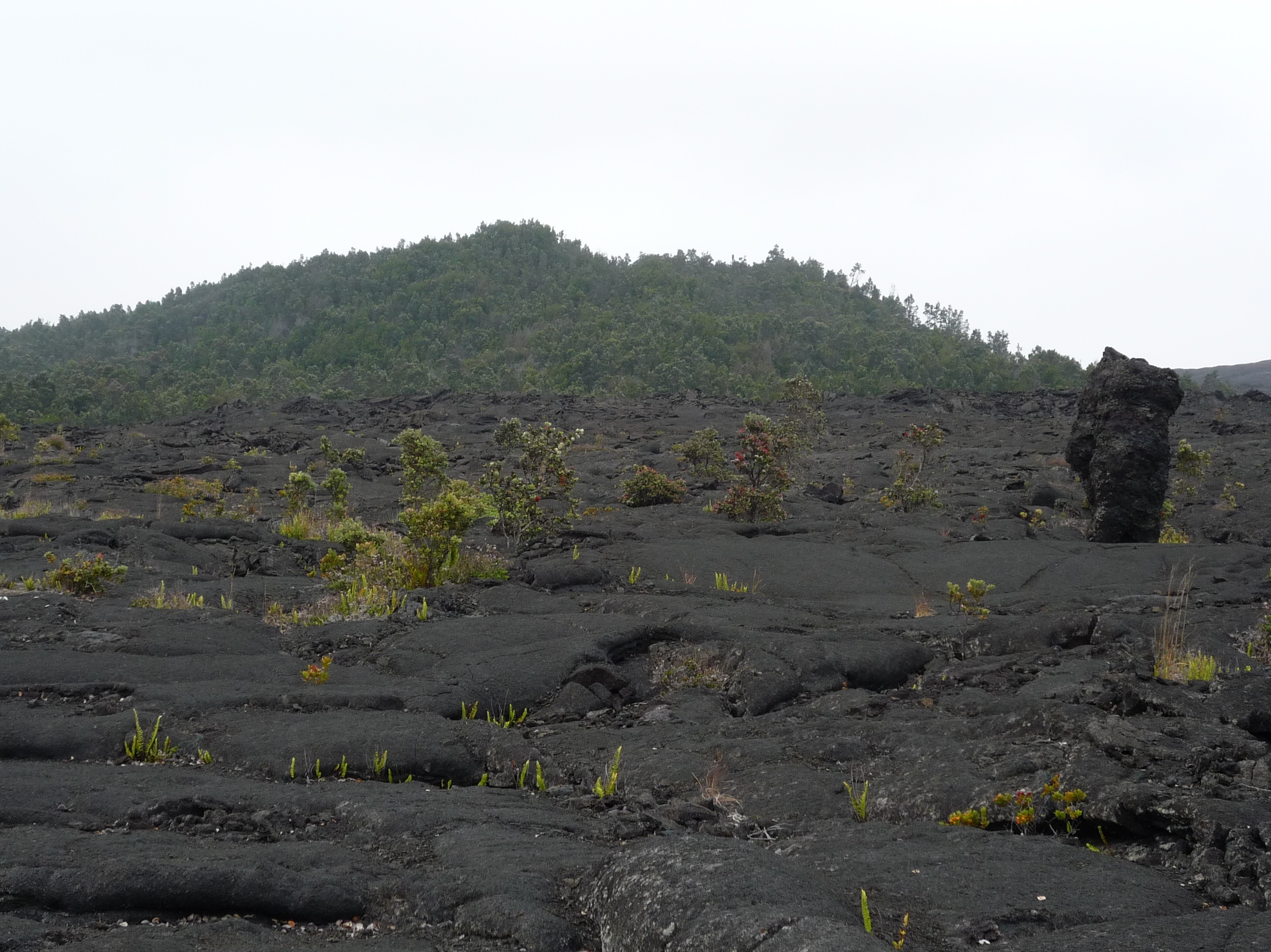 Photo of Puʻu Huluhulu