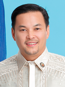 <span class="mw-page-title-main">Mikee Romero</span> Filipino businessman and politician