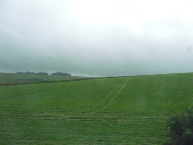 File:South Wiltshire , Grassy Field and Hillside - geograph.org.uk - 1324522.jpg