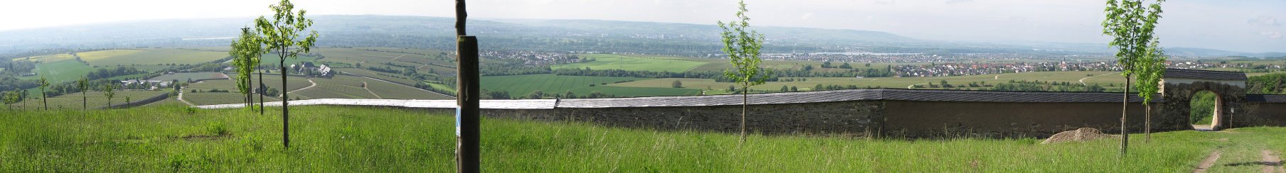  Exterior view of Steinberg, Kloster Eberbach walled vineyard