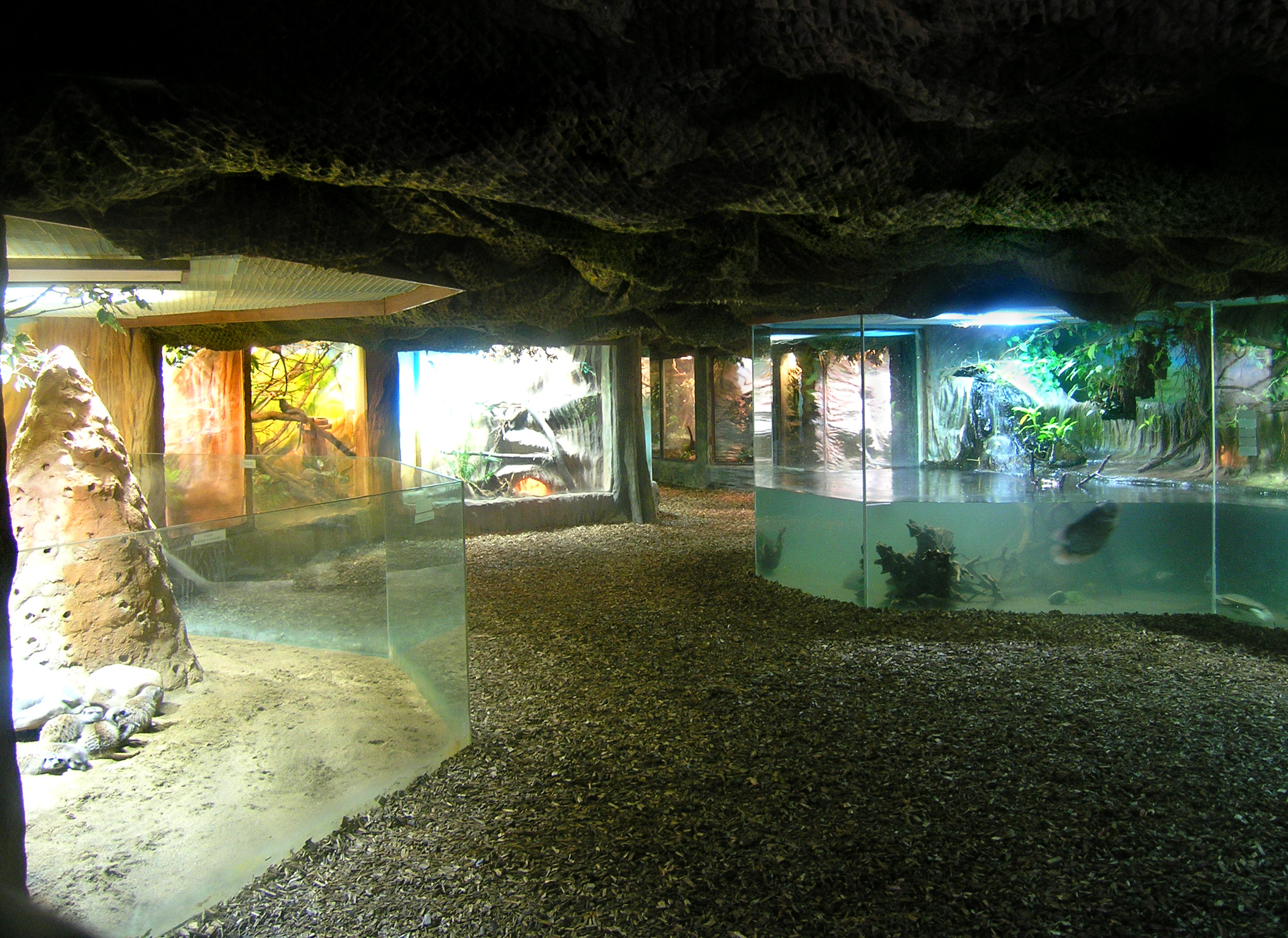 аквариум в зоопарке