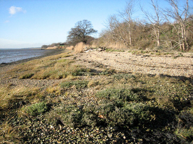 File:View west along the shoreline - geograph.org.uk - 661791.jpg