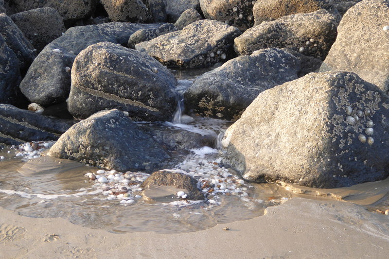 File:Water draining from rock island - geograph.org.uk - 4394826.jpg