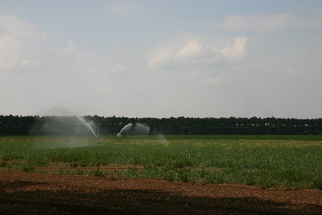 File:Water shortage^ - geograph.org.uk - 205848.jpg