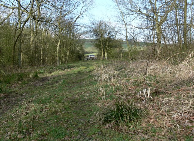 Owston Woods