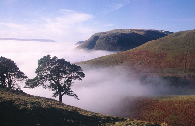 Wood Hill - geograph.org.uk - 36384