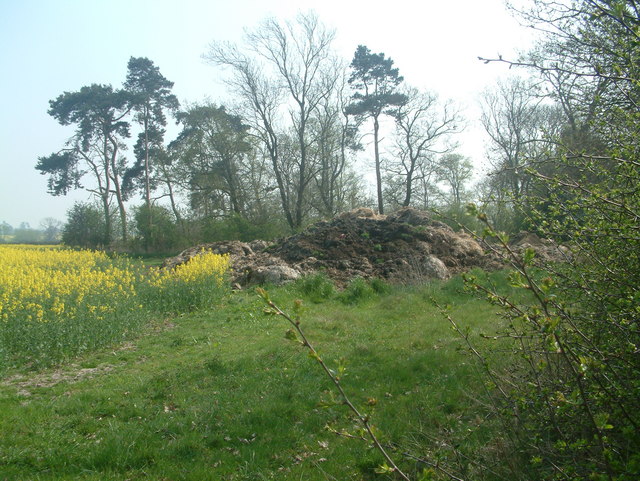 File:Wood South of Westbrook Farm on footpath - geograph.org.uk - 403092.jpg