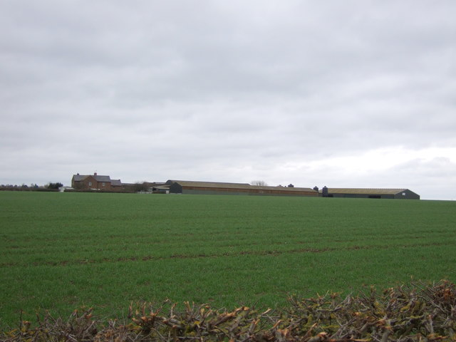 File:Young crop field towards Bridge Farm - geograph.org.uk - 5296115.jpg