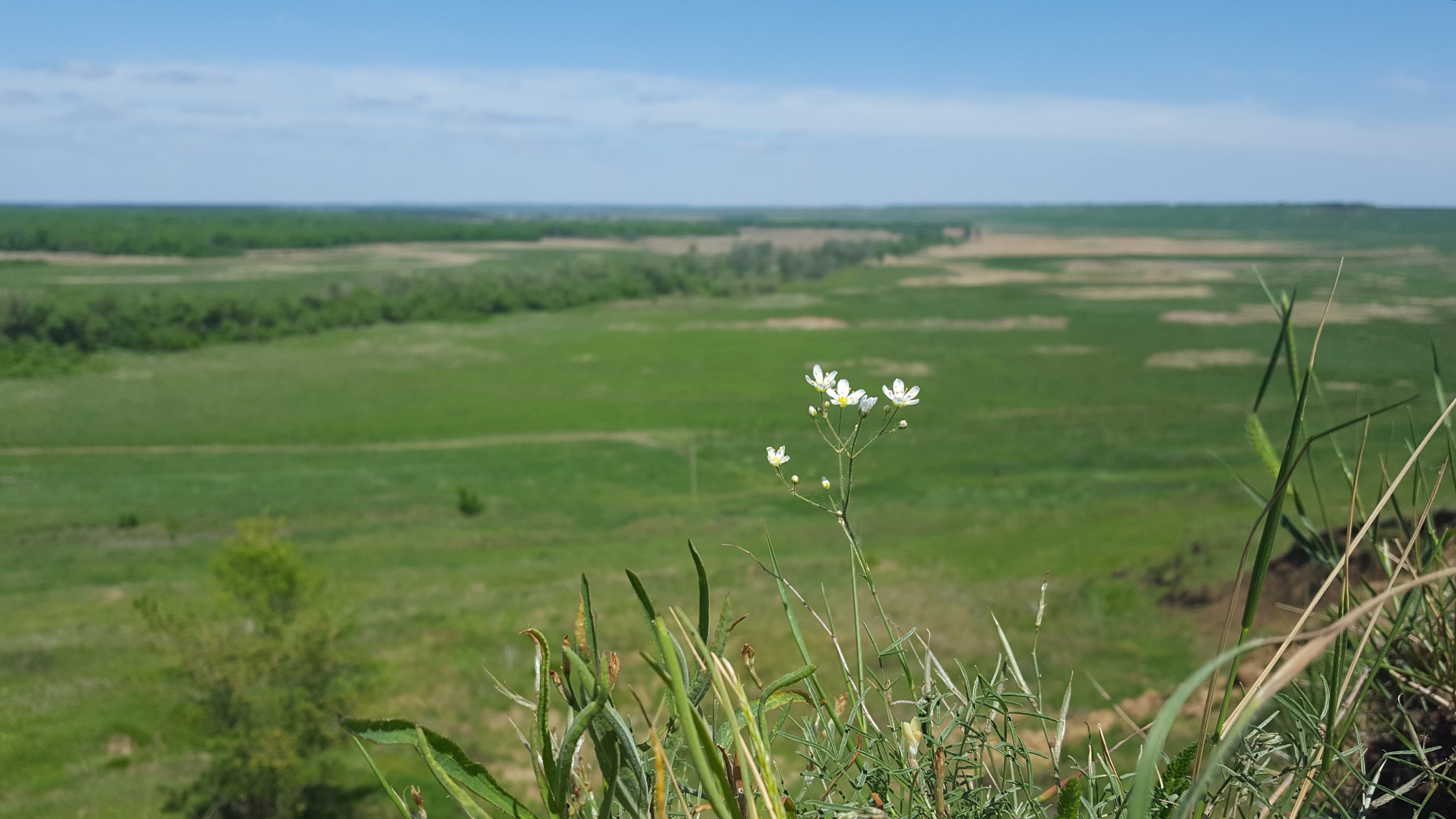 Село хоперское саратовская область