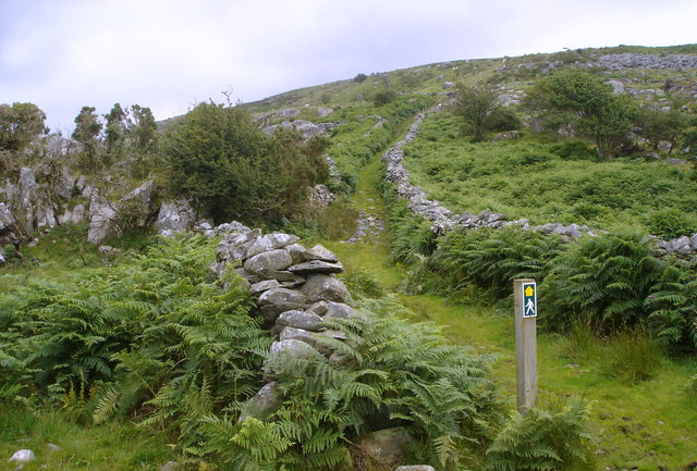 File:A Drovers Track - geograph.org.uk - 499445.jpg