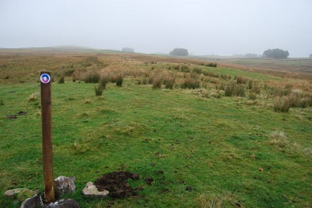 File:Annandale Way north of Cauldholm Farm in the autumn mist - geograph.org.uk - 1534650.jpg