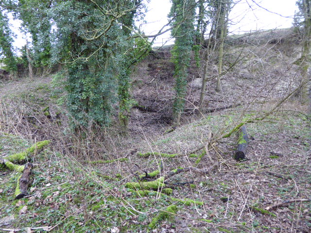 Boxford Chalk Pit