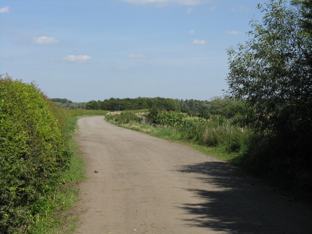 File:Bridleway To Haddenham - geograph.org.uk - 1449202.jpg