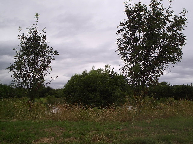 File:British Waterways-Makin pools. - geograph.org.uk - 23719.jpg