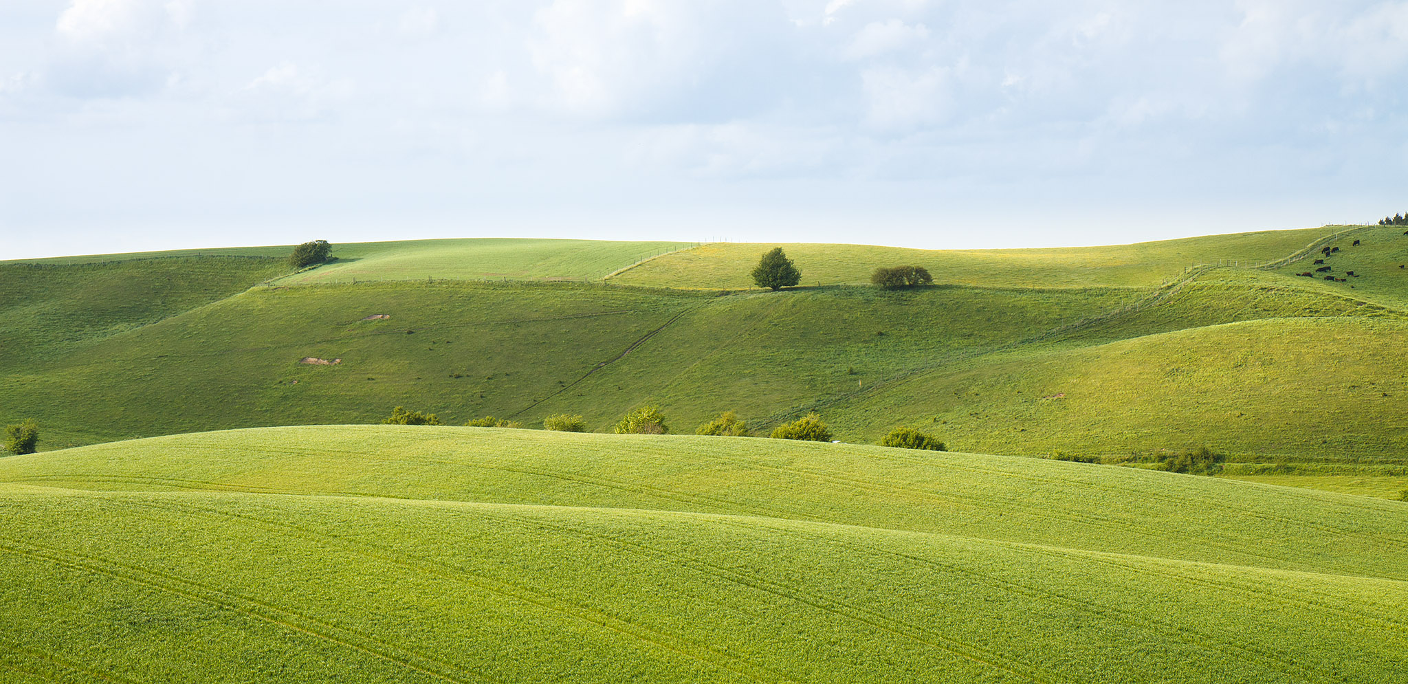 denmark landscape